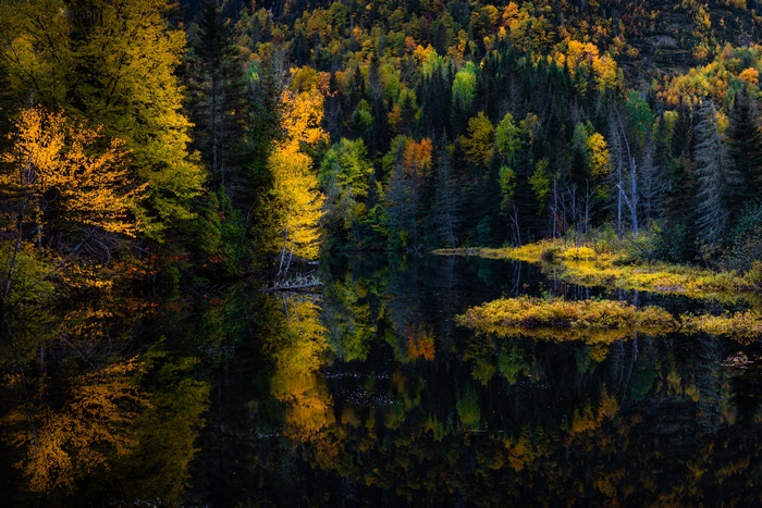 Vibrant Fall Forest Reflected in Lake