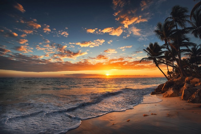 Golden Sunrise over Ocean Horizon with Palm Trees