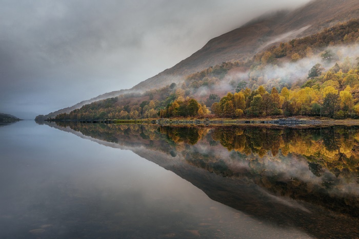 Misty Autumn Forest Reflected in a Serene Lake