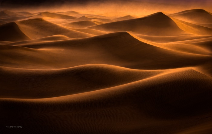Golden Light on Wind-Swept Desert Dunes