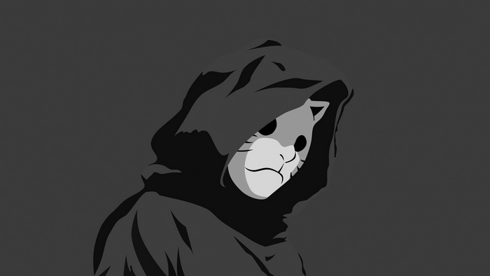 Hooded Cat Mask Hacker