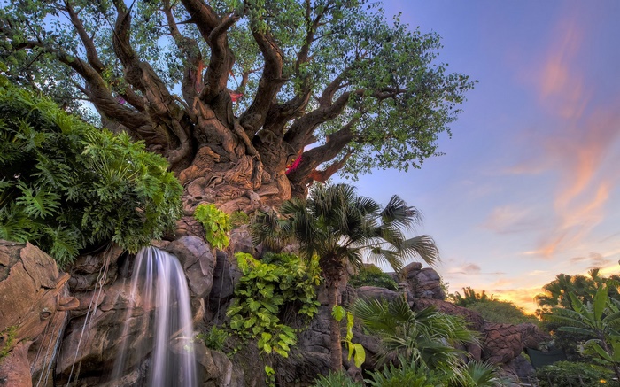 Majestic Tree of Life at Walt Disney Resort sunset