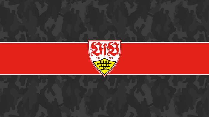 VfB Stuttgart Logo Camouflage Red Stripe