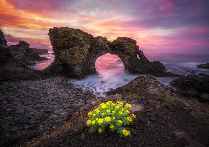 Vibrant Sunset over Coastal Arch with Yellow Flowers