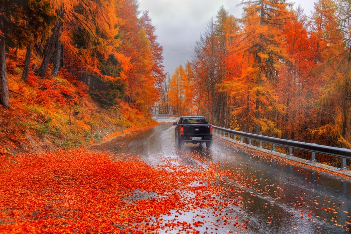 Vibrant autumn road with a truck and fallen leaves