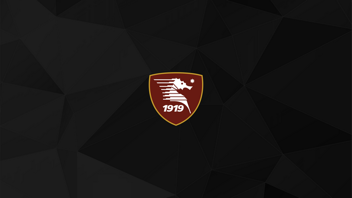 U.S. Salernitana 1919 Soccer Logo Dark Geometric