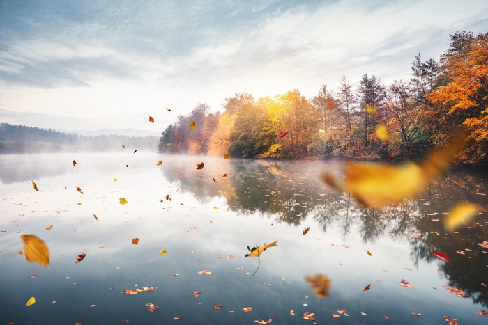 Misty Autumn Lake Reflection with Falling Leaves