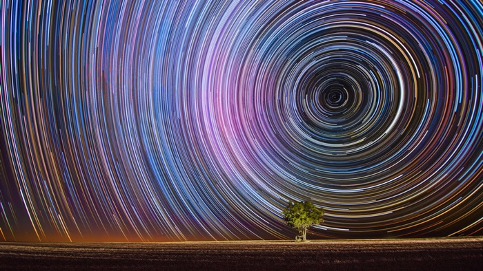 Star Trails in Night Sky with Lone Tree 4K