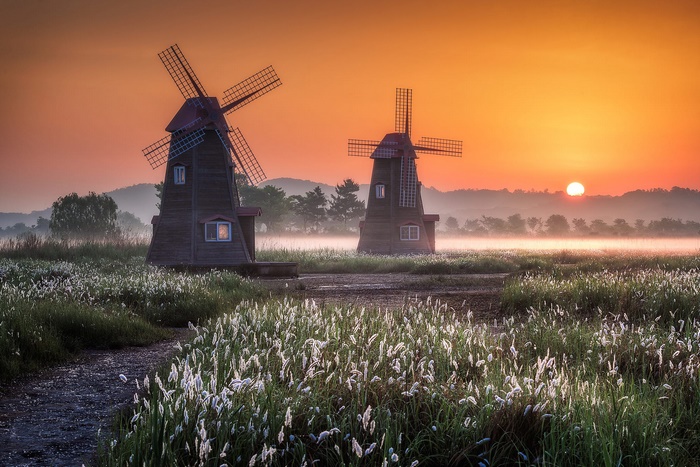Two Windmills in a Misty Field at Sunset