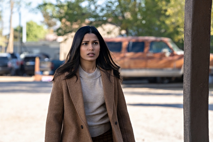 Freida Pinto looking concerned in Intrusion