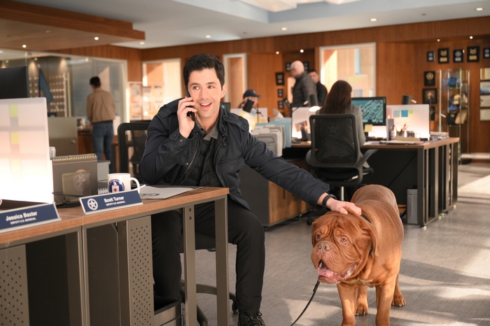 Josh Peck as Scott Turner petting Hooch