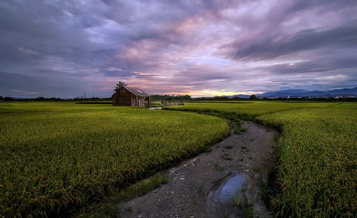 Purple sunset sky over a field with a house