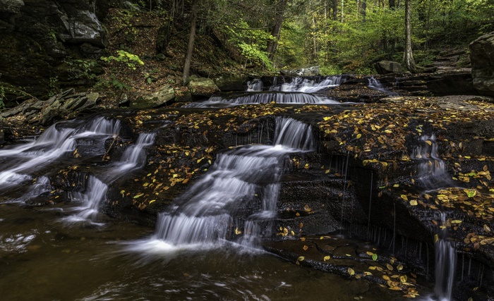 Forest River with Autumn Leaves and Cascades