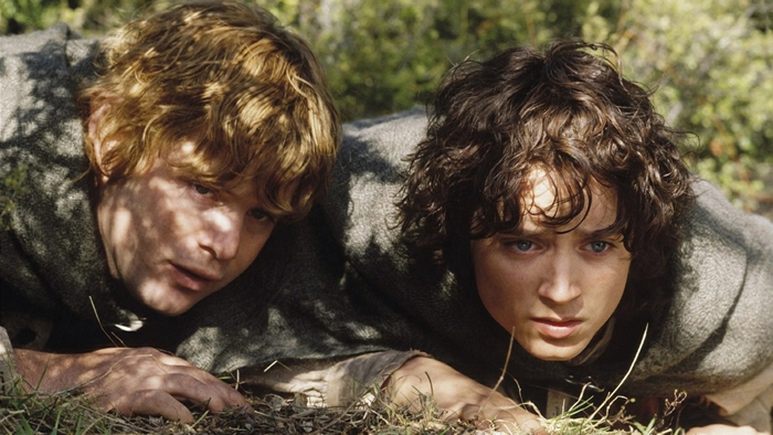 Frodo and Sam from Lord of the Rings crouching intently