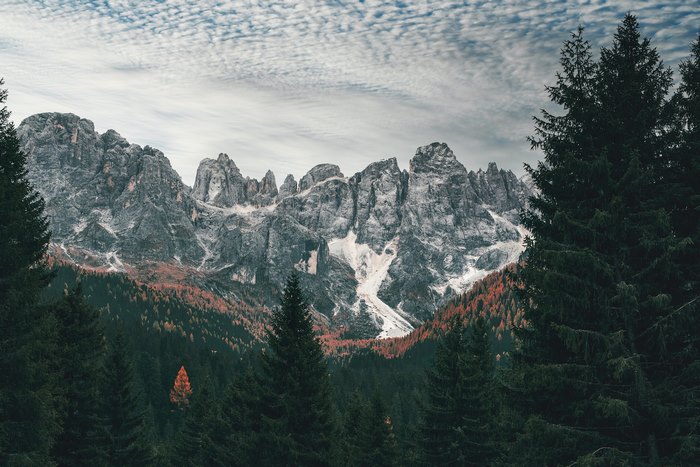 Dolomites Mountains with Autumn Pines and Snow 4K