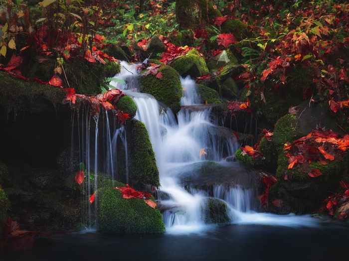 Autumn Waterfall over Mossy Rocks
