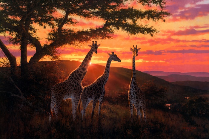 Artistic Painting of Giraffes at African Sunset