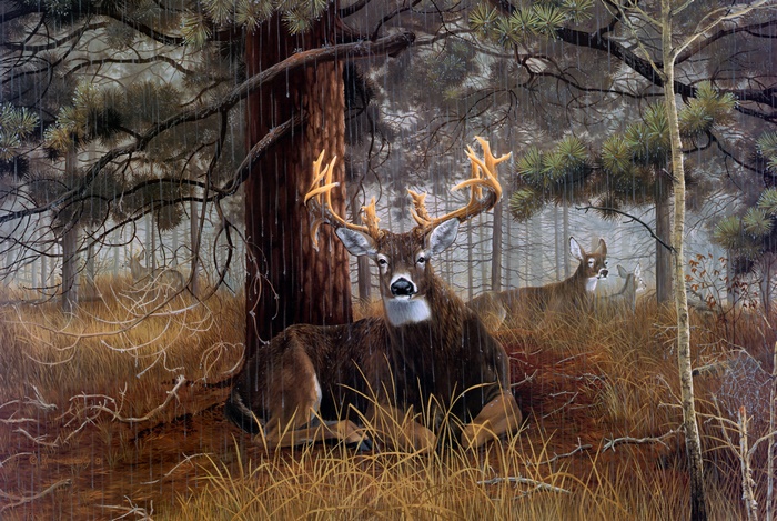 Artistic Painting of Deer in Forest