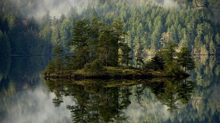 Misty forest and island reflecting in still lake