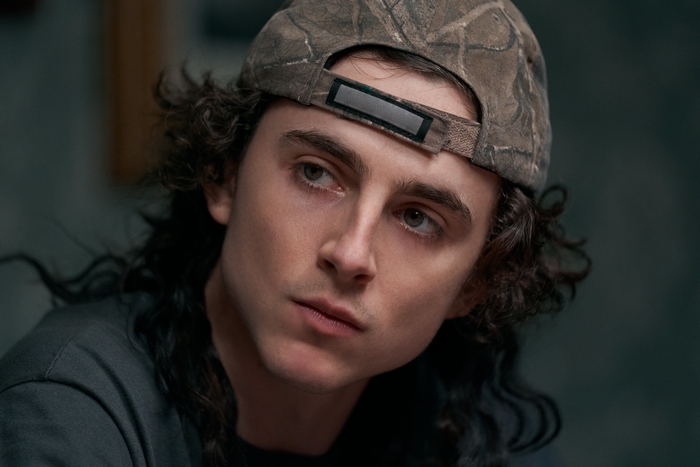 Timothée Chalamet in Dont Look Up 4K