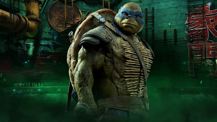 TMNT 2014 Leonardo in Dark Green Setting