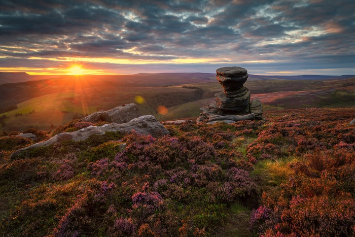 Golden Sunrise over Heather Moorland with Rock Formation