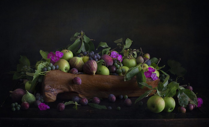 Still Life of Figs, Plums, Apples, and Grapes