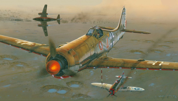 Focke-Wulf Fw 190 Luftwaffe WWII desert combat