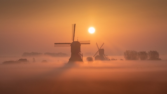 Netherlands Windmills in Golden Foggy Sunrise
