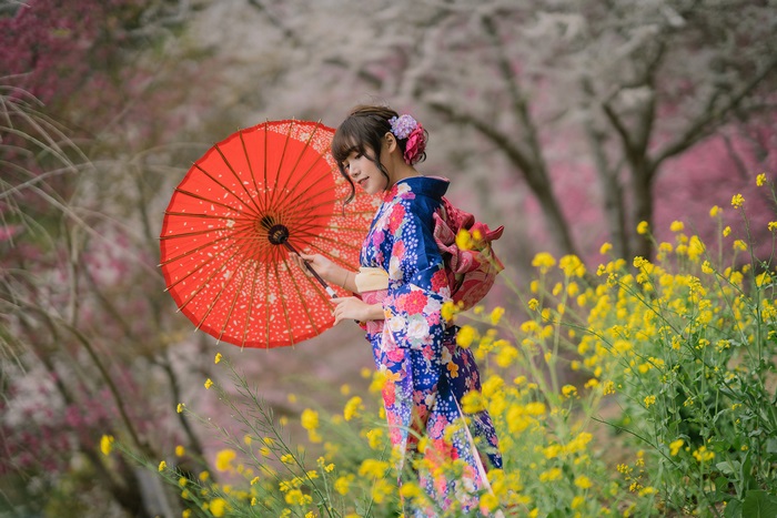 Asian model in kimono with red umbrella among flowers