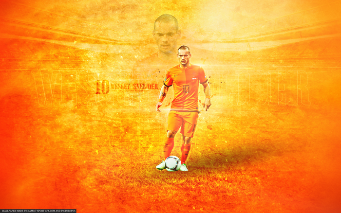 Wesley Sneijder, Netherlands Football Legend