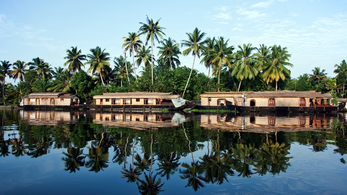 Alappuzha Houseboats and Palm Tree Reflections, Kerala
