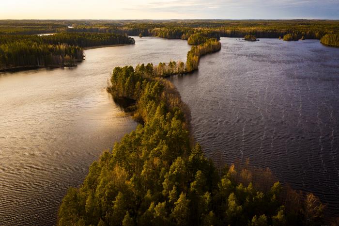 Aerial View of Winding Forest Peninsula in Lake