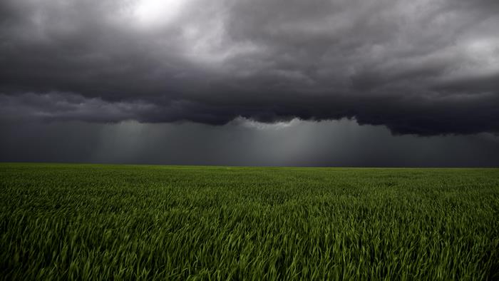 Dark storm clouds over green grass field