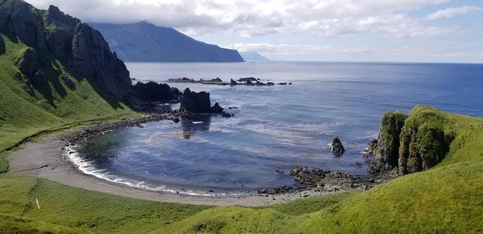 Dramatic Coastline with Lush Green Hills and Rocky Sea