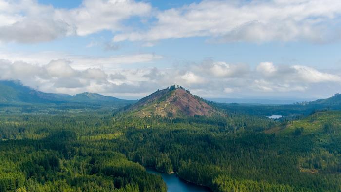Mountain with Cleared Slopes, Forest, and River Landscape