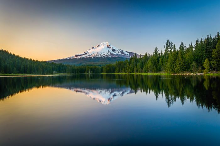 Scenic Mount Hood reflection in a tranquil forest lake