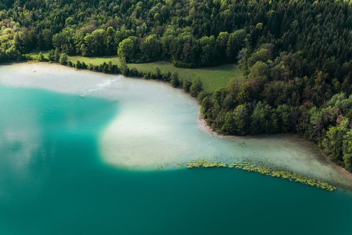 Belvédère des Quatre Lacs: Clear Turquoise Lake and Forest