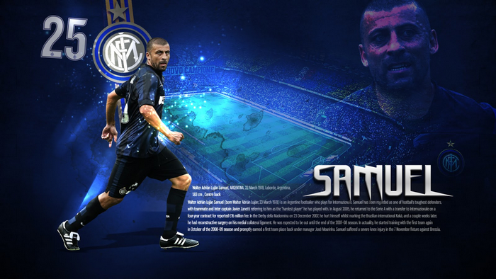 Walter Samuel Inter Milan Footballer Number 25