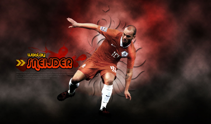 Wesley Sneijder Netherlands National Team action
