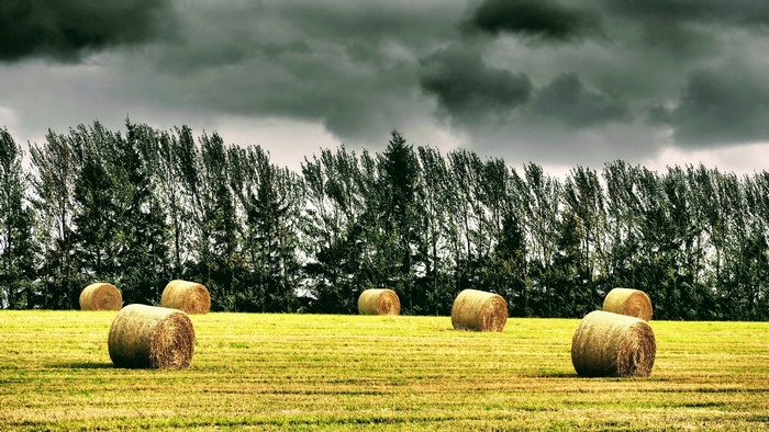 Haystacks in a field under a stormy sky