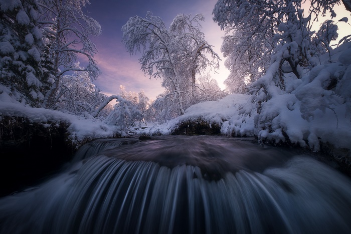 Winter Stream and Snow-Covered Trees at Sunset