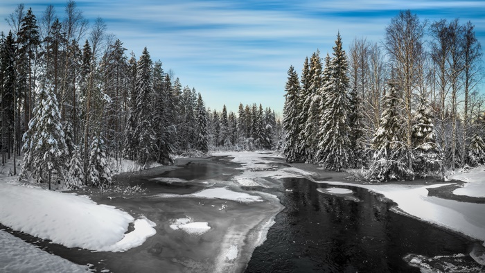 Snowy winter forest and partially frozen river