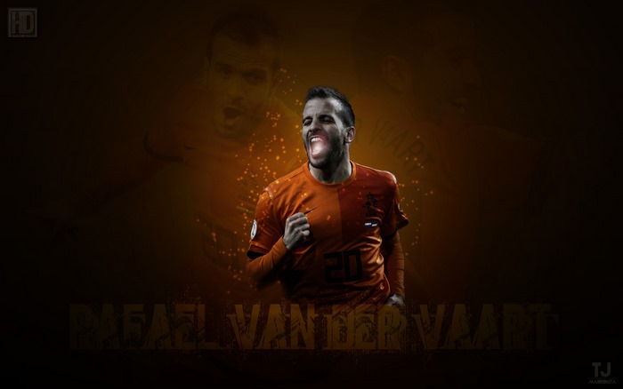 Rafael Van Der Vaart: Netherlands Football Team Celebration