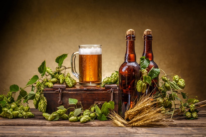 Still life with beer, bottles, hops, and wheat