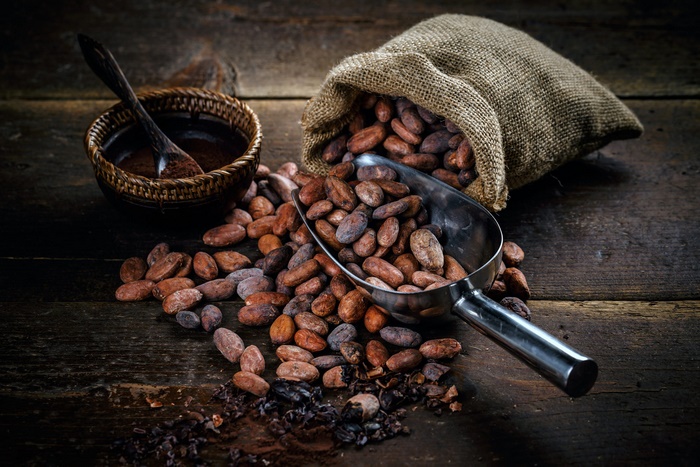 Cocoa Beans and Chocolate Ingredients