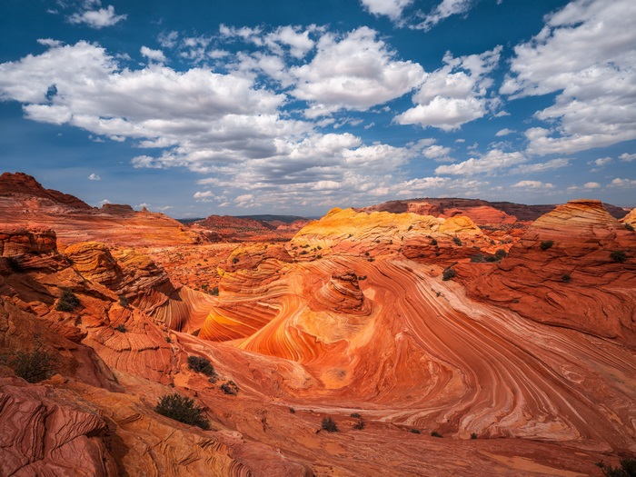 Vibrant Wave Rock Formations in Desert Canyon