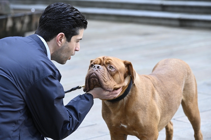 Josh Peck with Dogue de Bordeaux from Turner and Hooch