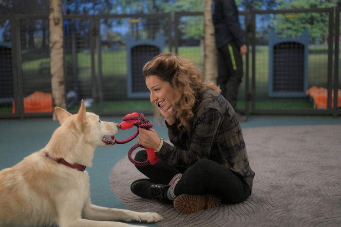 Vanessa Lengies playing with a dog in Turner and Hooch