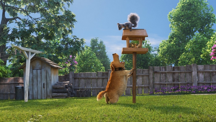 Dug and squirrel at bird feeder